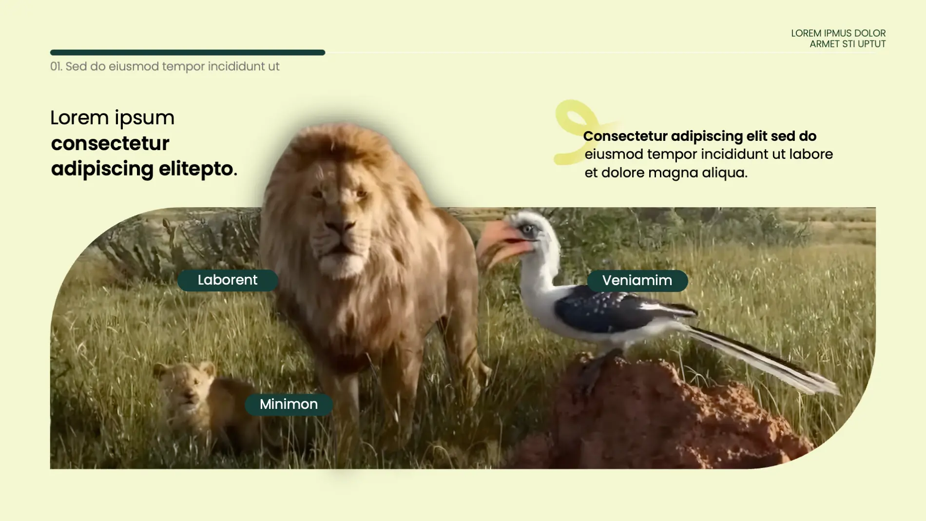 rediseno-presentacion-powerpoint-coach-5